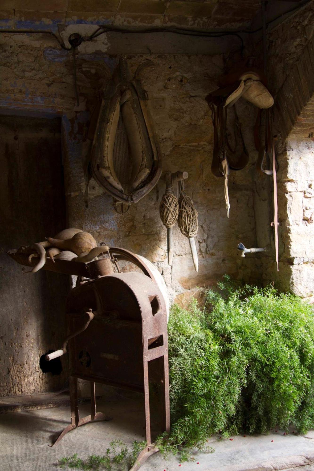 Els Masos D'En Coll Konuk evi Llaviá Dış mekan fotoğraf