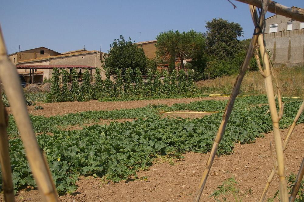 Els Masos D'En Coll Konuk evi Llaviá Dış mekan fotoğraf